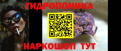 гидропоника Донской