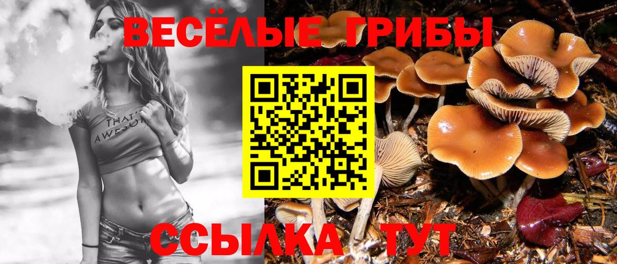 Муравленко  Галлюциногенные грибы прущие грибы  Вход с VPN 